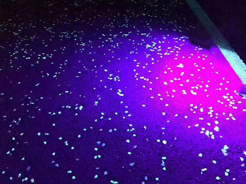 上海浦江公园荧光路